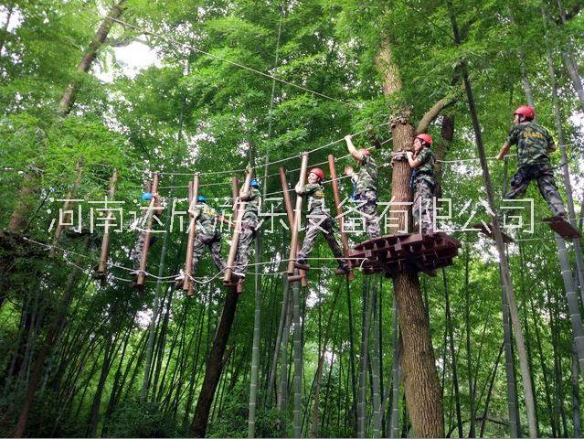 西雙版納叢林穿越叢林穿越廠家施工-專業(yè)安裝