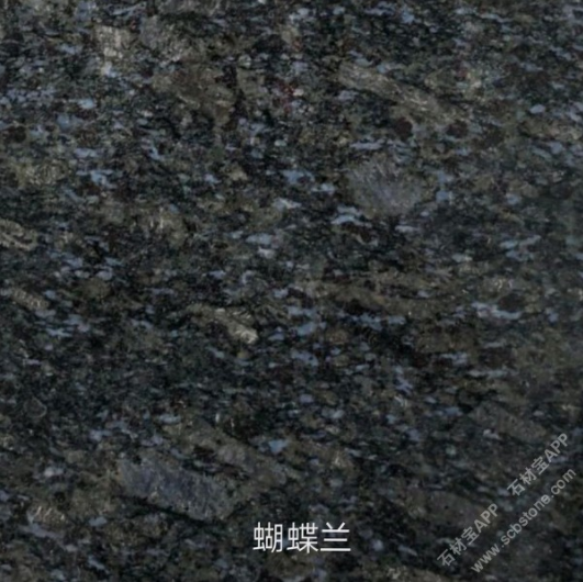 內(nèi)蒙古蝴蝶蘭廠家供應(yīng)