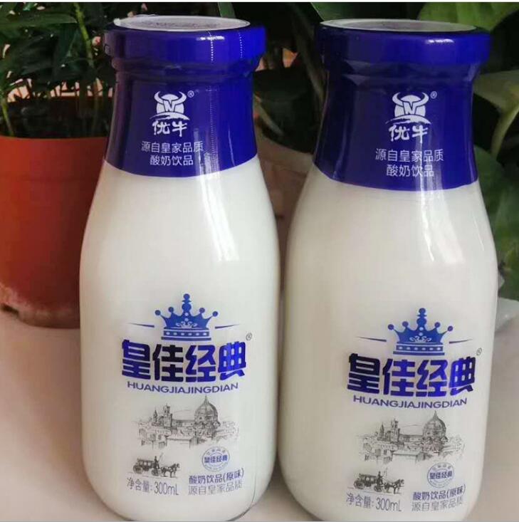 原味乳酸菌飲品 300ml*15原味乳酸菌飲品含乳飲料 兒童飲品玻璃瓶裝 誠(chéng)招代理加盟
