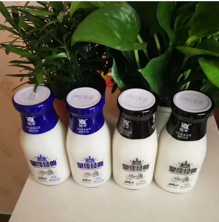 皇佳經(jīng)典玻璃瓶飲料廠家 皇佳經(jīng)典禮盒裝300ml*15網(wǎng)紅早餐學(xué)生益生菌酸奶飲品 益生菌酸奶飲品批發(fā)