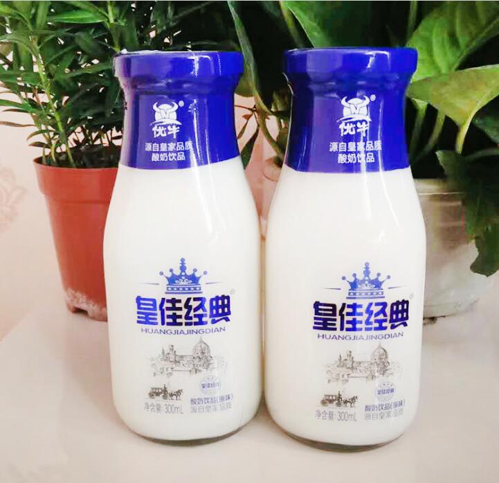 皇佳經(jīng)典玻璃瓶飲料廠家 皇佳經(jīng)典禮盒裝300ml*15網(wǎng)紅早餐學(xué)生益生菌酸奶飲品 益生菌酸奶飲品批發(fā)