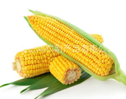 工廠生鮮配送企業(yè)——食材配送