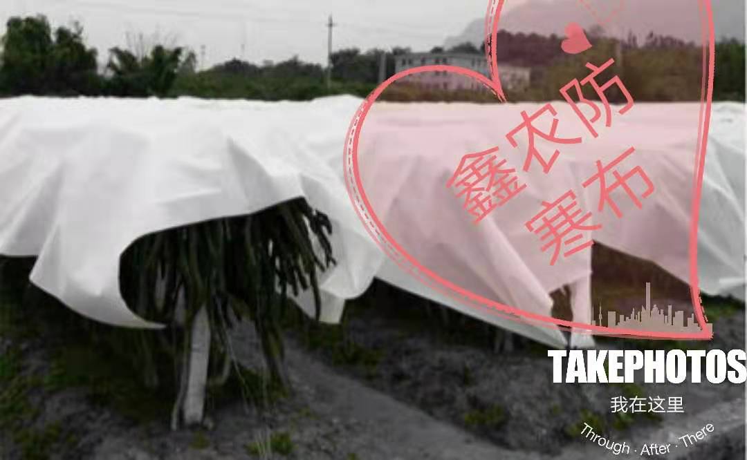 鑫農(nóng)防寒布廠家直銷