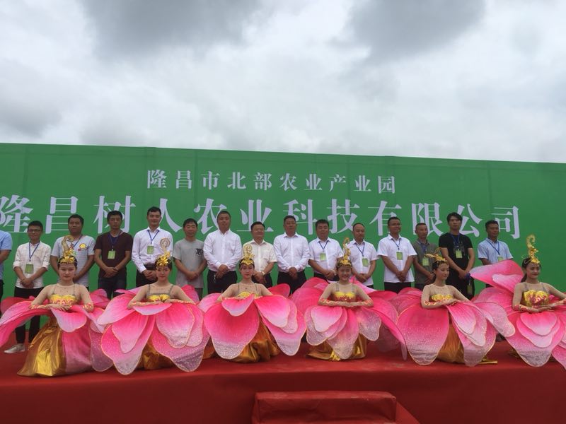 愛媛苗30號價格   愛媛苗30號