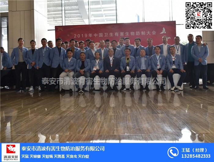 泰安清波泰安滅蟑螂的抗藥性