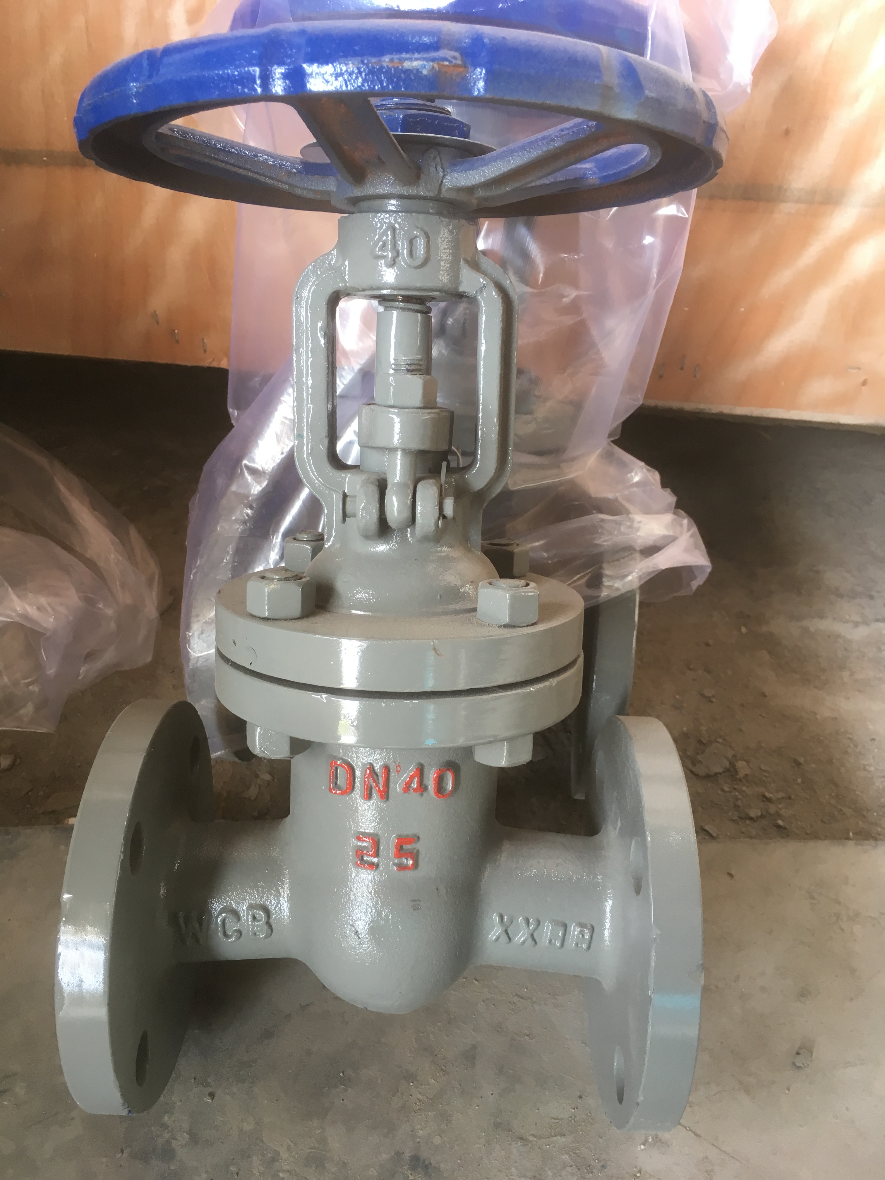 供應(yīng)  法蘭連接鑄鋼閘閥