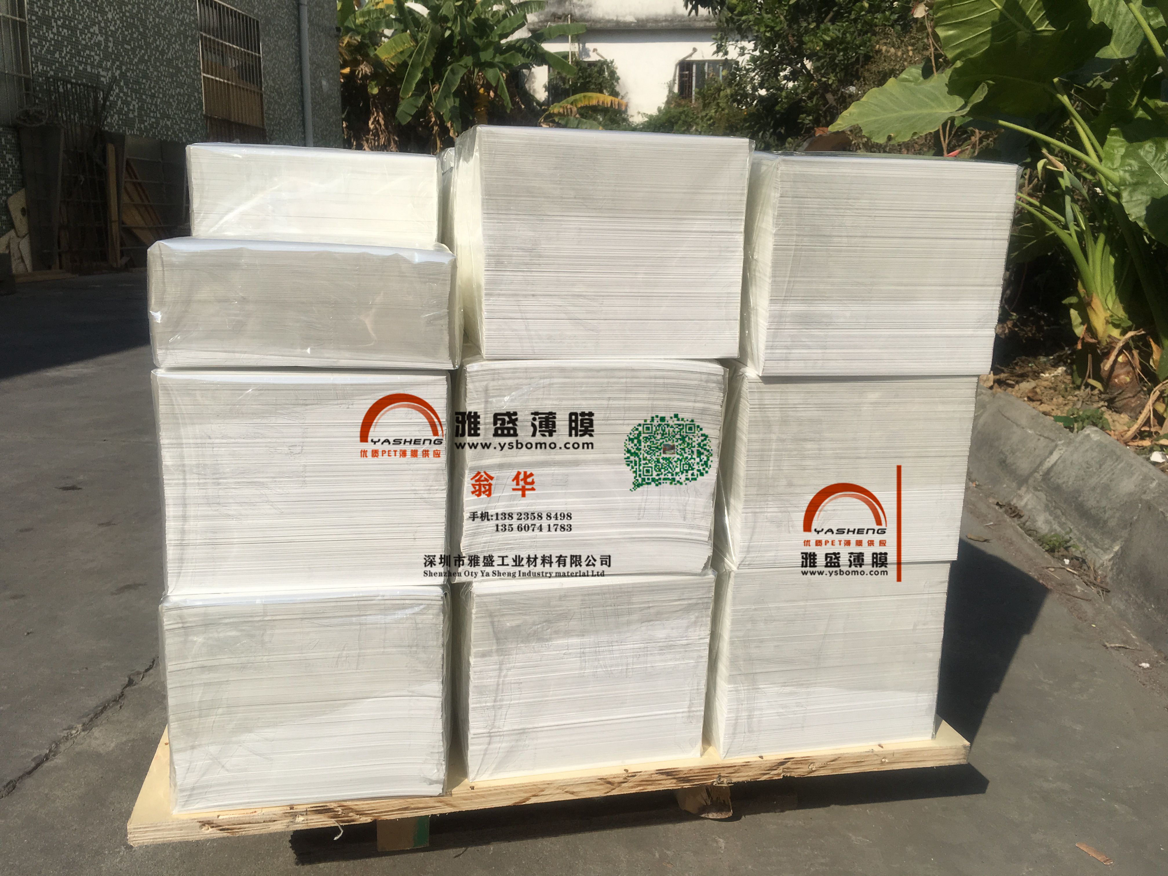 PET白膜\\白色PET\\乳白PET膜|PET薄膜 PET白膜\白色PET 供應(yīng)PET白膜\白色PET