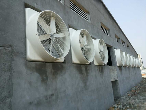 湖南工業(yè)負(fù)壓式風(fēng)機(jī)