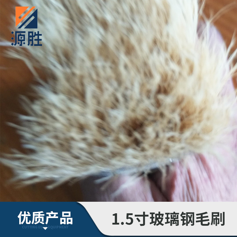 安徽玻璃鋼毛刷廠家 1.5寸玻璃鋼毛刷批發(fā) 玻璃鋼毛刷定制