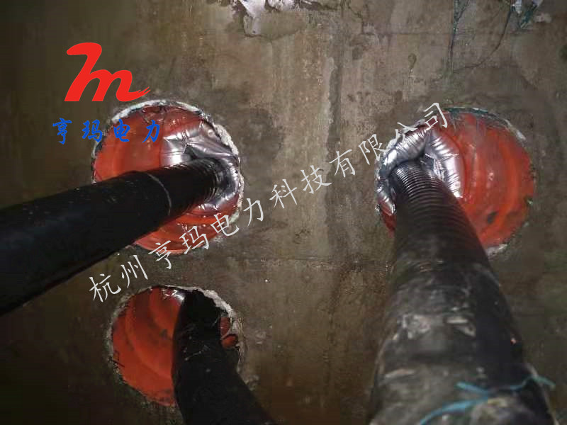 福建、杭州廠家-供應(yīng)-直銷  福建工程封堵器