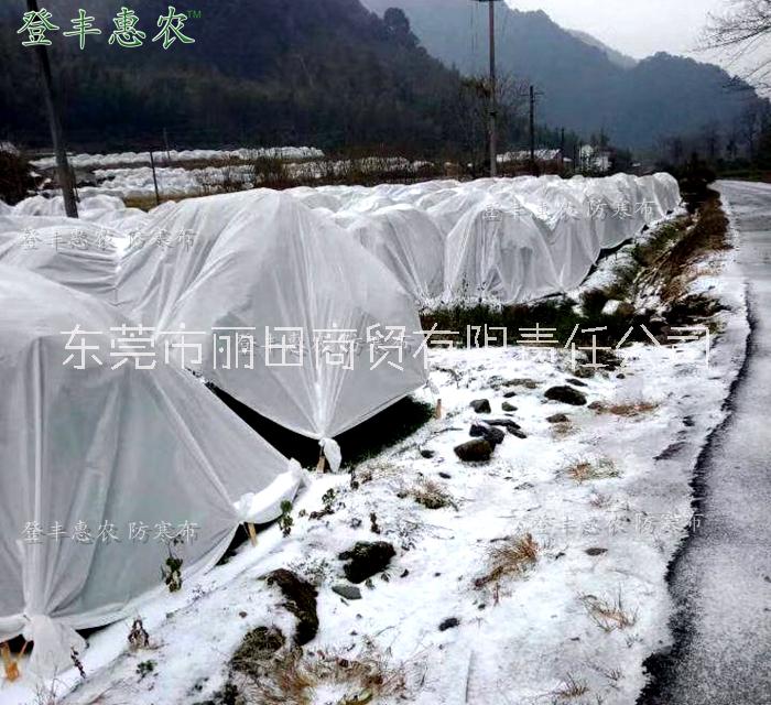 防寒布 防寒布   什么防寒布比較好