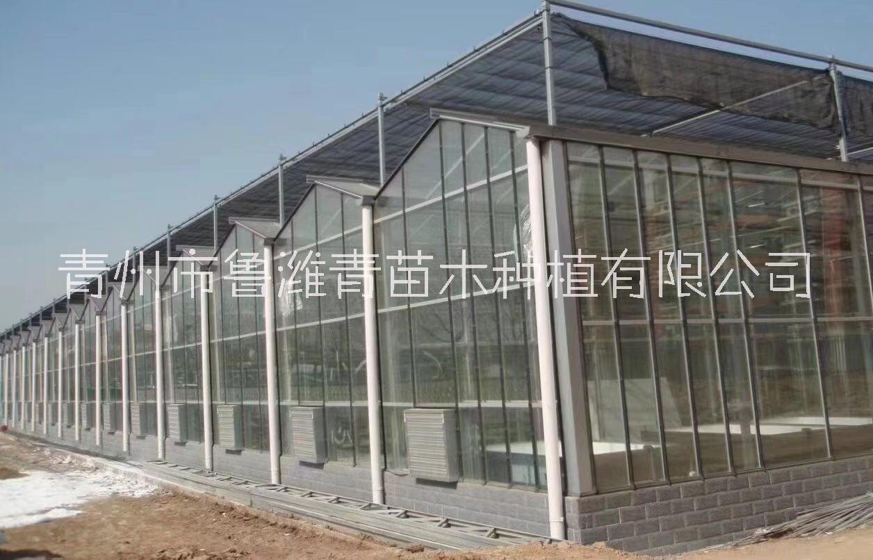 山東溫室大棚12年供貨商-溫室大棚建造及配件專業(yè)廠家