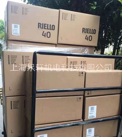 利雅路程控器RMG508SE RIELLO控制器