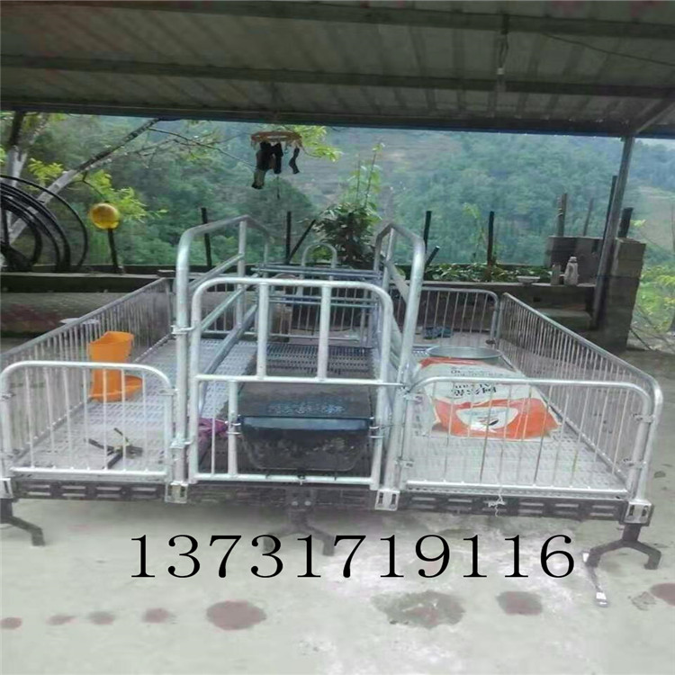 京金機(jī)械-11型母豬產(chǎn)床 單體產(chǎn)床 限位欄