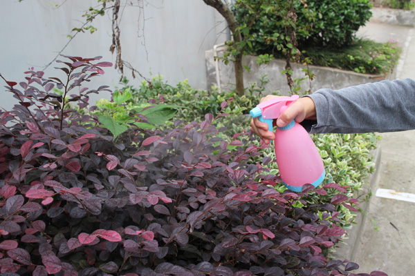 幸運(yùn)買(mǎi)家小噴壺噴霧器噴霧瓶多肉植物家庭園藝糖果色500毫升噴壺
