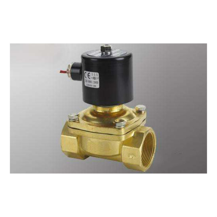 供應(yīng)2L先導(dǎo)式活塞式電磁閥-先導(dǎo)式活塞式電磁閥廠家