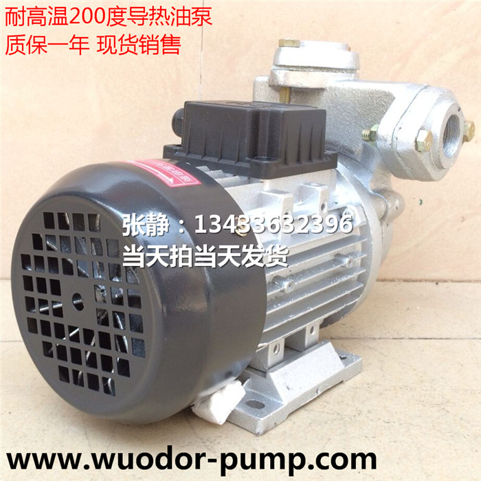 TS-71高溫循環(huán)泵 模溫機(jī)高溫馬達(dá) 熱水循環(huán)泵