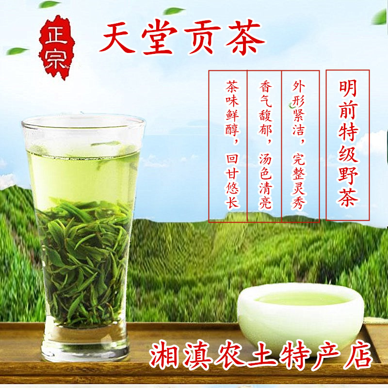 炎陵天堂貢茶500g袋裝高山明前綠茶手工炒青云霧新茶包郵 茶葉