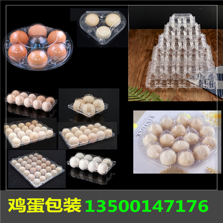 透明蛋托_湖北雞蛋包裝盒