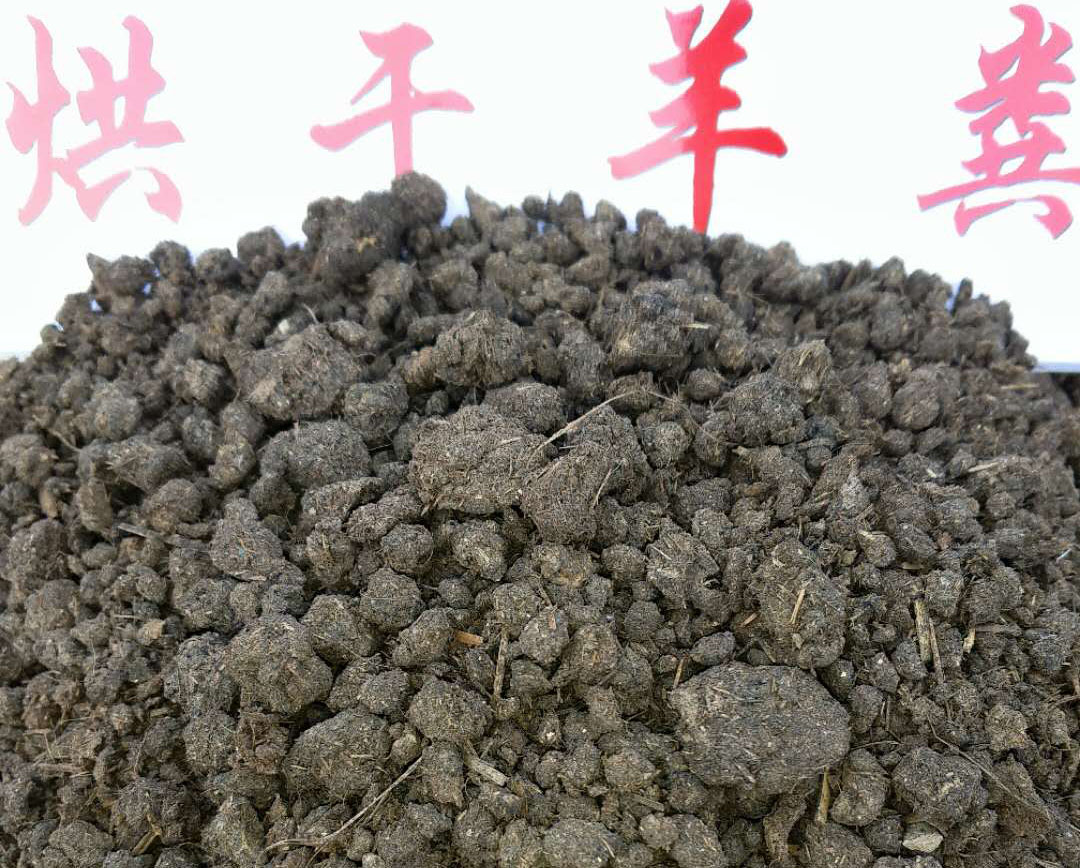 羊糞有機(jī)肥 顆粒羊糞河南開(kāi)封有羊糞廠家嗎 廠家直銷(xiāo)羊糞有機(jī)肥顆粒羊糞發(fā)酵腐熟羊糞
