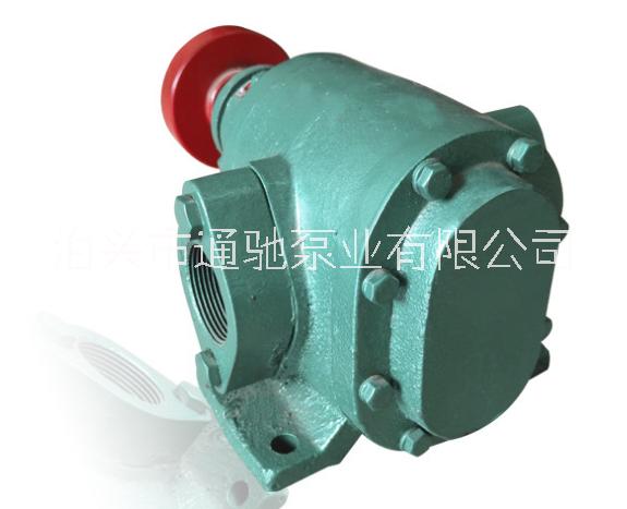 泊頭油泵廠家直銷通馳牌鑄鐵2CG高溫齒輪油泵