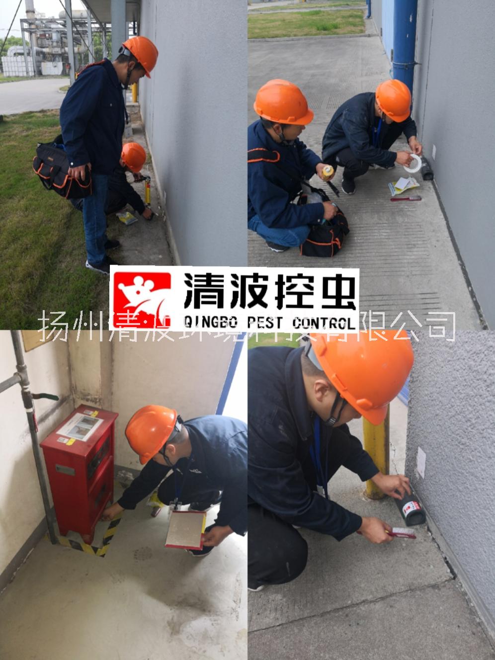 儀征 高郵 寶應(yīng) 滅鼠 滅老鼠 防老鼠 除老鼠 捕老鼠 抓耗子 捉老鼠 公司 專業(yè)防治 服務(wù)公司