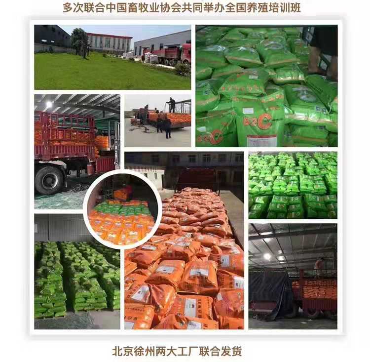 育肥羊怎么喂-羊飼料供應(yīng)