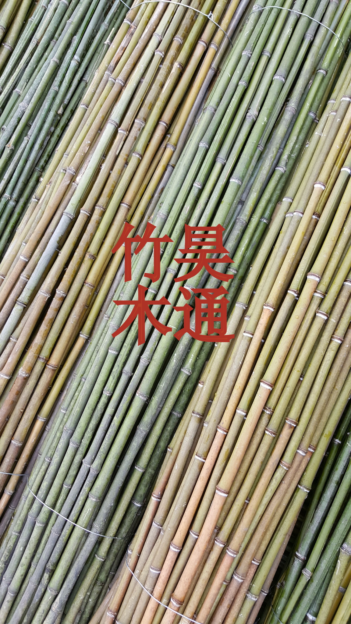 【2020】雪峰山2.3米、2.5米、3米菜架竹、小竹竿、架材、竹架條 架竿 菜架竹竿