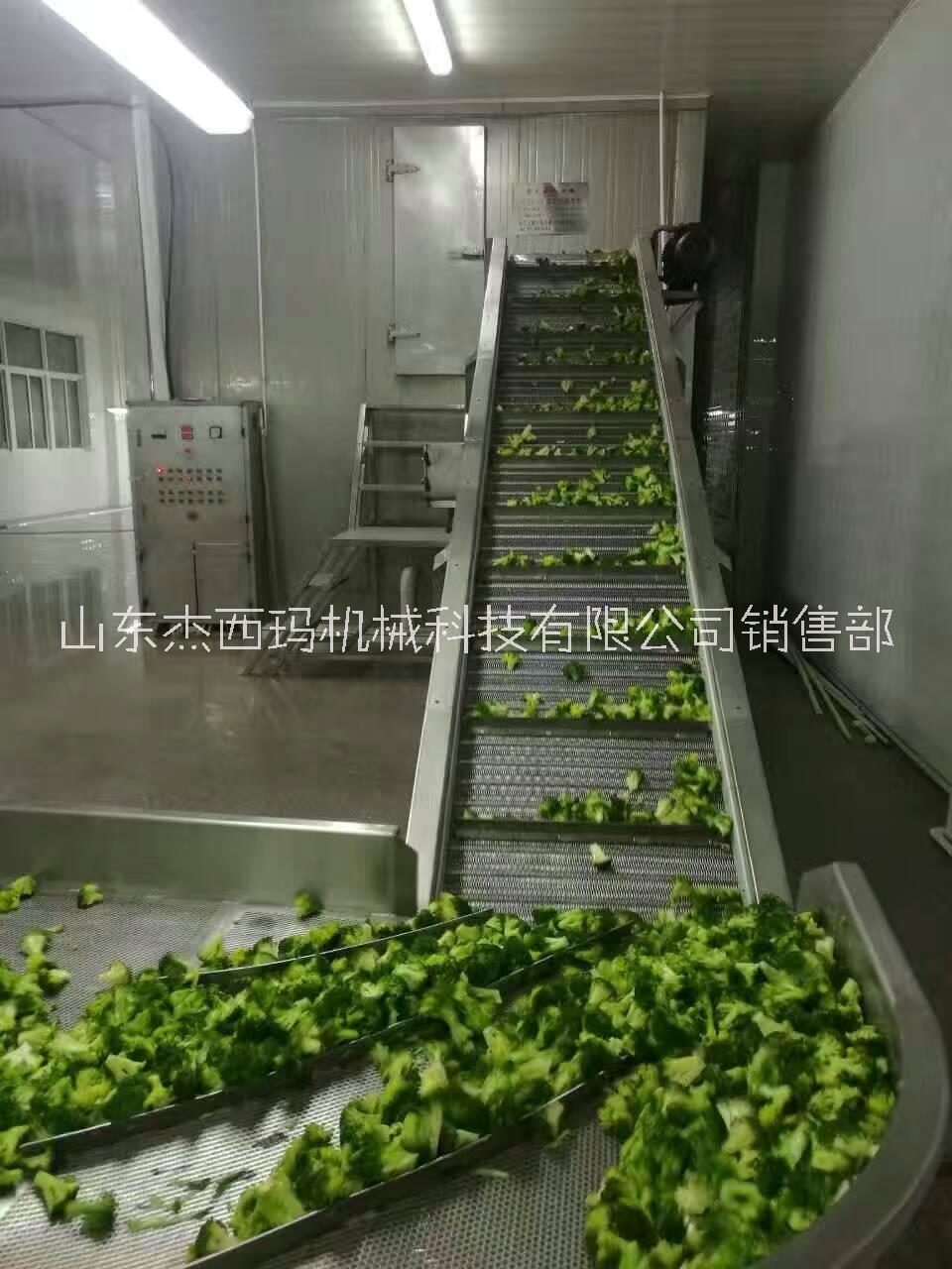 清洗機(jī)  蔬菜清洗機(jī) 水果清洗機(jī)