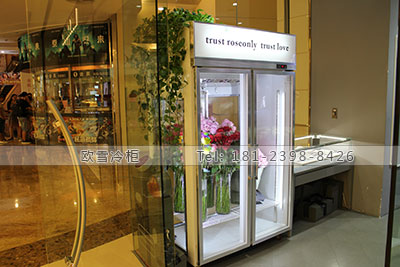 廣州花店保鮮柜哪家品牌好質(zhì)量好 花店立式保鮮柜