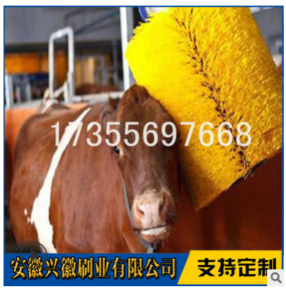 安徽牛體按摩刷生產(chǎn)廠家價(jià)格