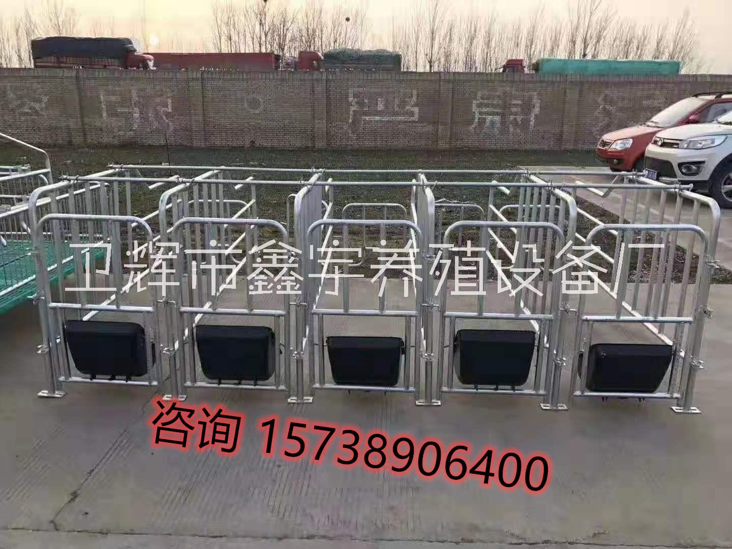 養(yǎng)豬廠設(shè)備母豬定位欄母豬限位欄