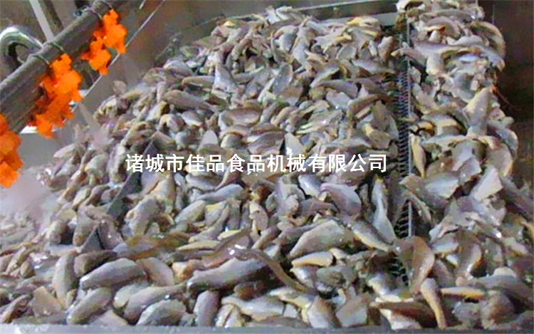 鯧魚清洗機(jī) 黃魚清洗機(jī) 海魚清洗機(jī)