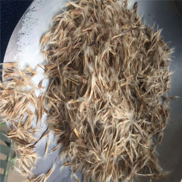 遼寧 梧桐種子 批發(fā)價(jià)格多少錢(qián)廠(chǎng)家直銷(xiāo)報(bào)價(jià)