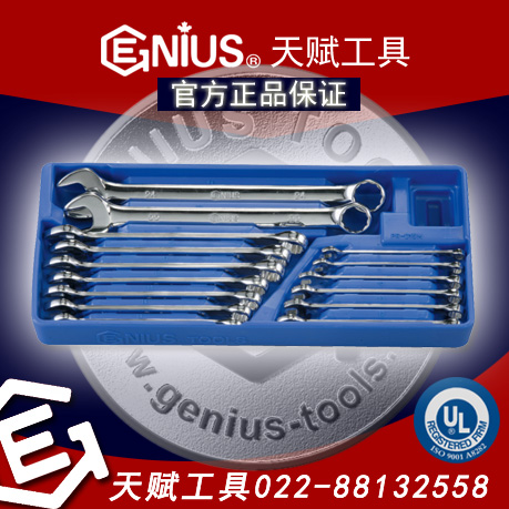 Genius天賦工具PR-015M 15件套精拋光公制梅花開口呆扳手兩用扳手組套裝