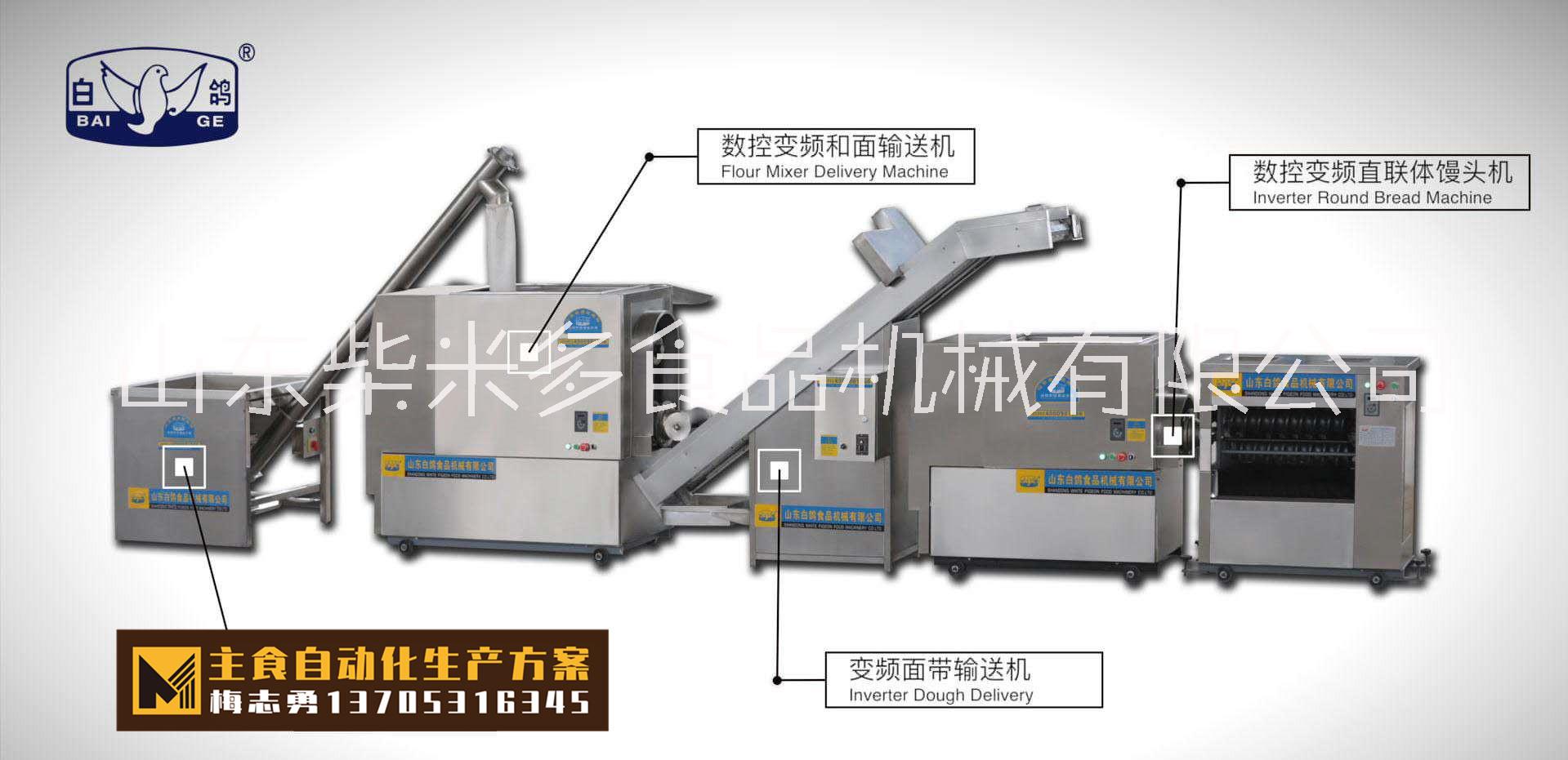 白鴿120型智能仿手工饅頭生產線40-500g定制型圓饅頭生產線