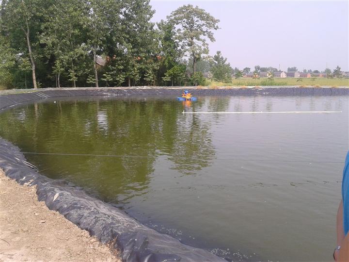 魚塘土工膜廠家直銷-景觀水池水產(chǎn)養(yǎng)殖膜-防滲養(yǎng)魚池土工膜
