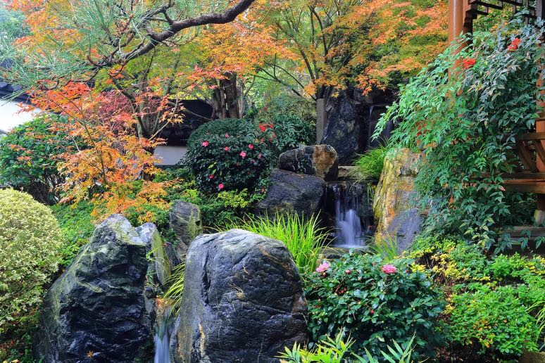 枯山水造景  枯山水造景