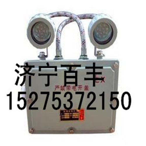 BAJ52隔爆應(yīng)急燈BAJ52防爆雙頭應(yīng)急燈