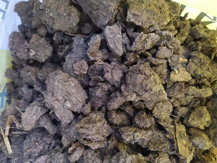 牛糞 福建平和哪里有賣干牛糞的 種蜜柚用干牛糞效果好不好