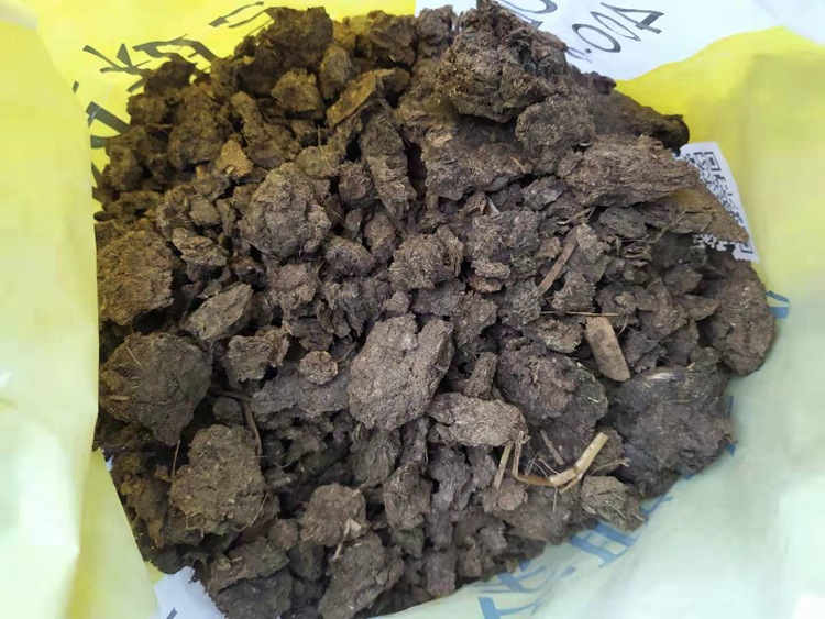 牛糞 福建平和哪里有賣干牛糞的 種蜜柚用干牛糞效果好不好