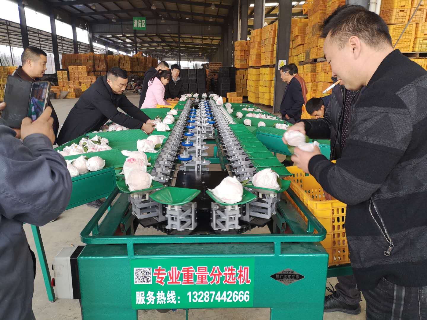 贛南臍橙選果機(jī) 橙子大小分級(jí)機(jī)廠家