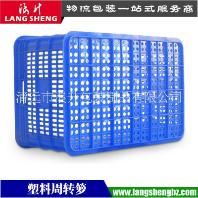 清遠塑料籮廠家直銷塑膠筐塑料周轉(zhuǎn)籮蔬菜筐水果筐蔬菜籃膠筐籮筐
