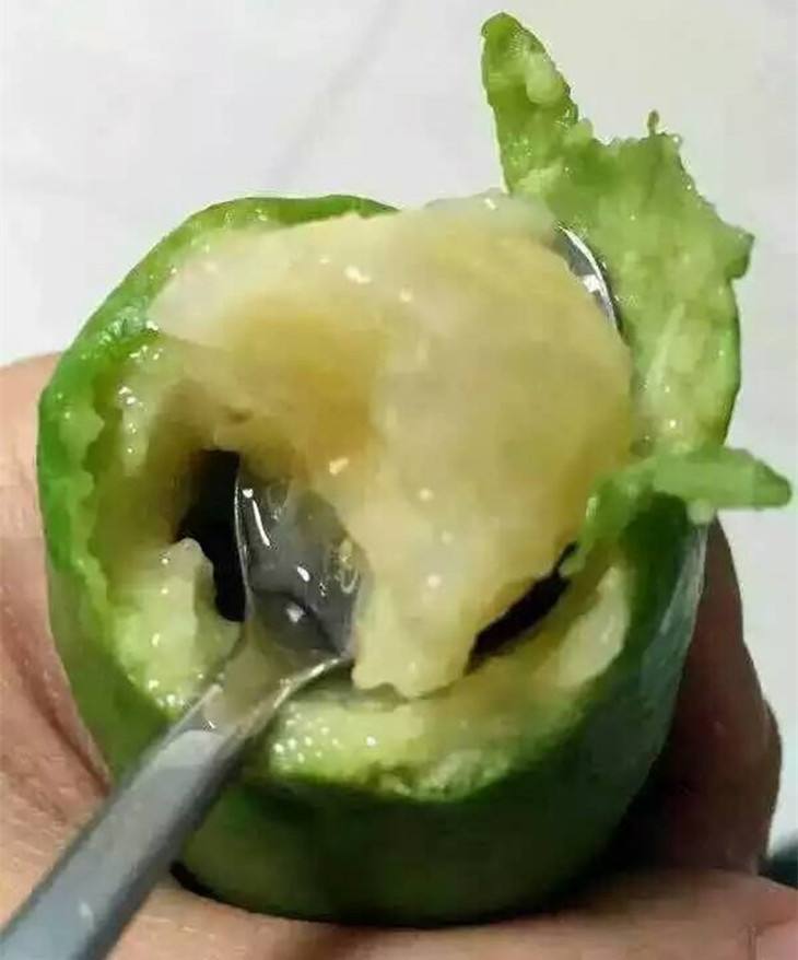 香菲果苗、香菲果苗價格、香菲果苗批發(fā)基地廠家*