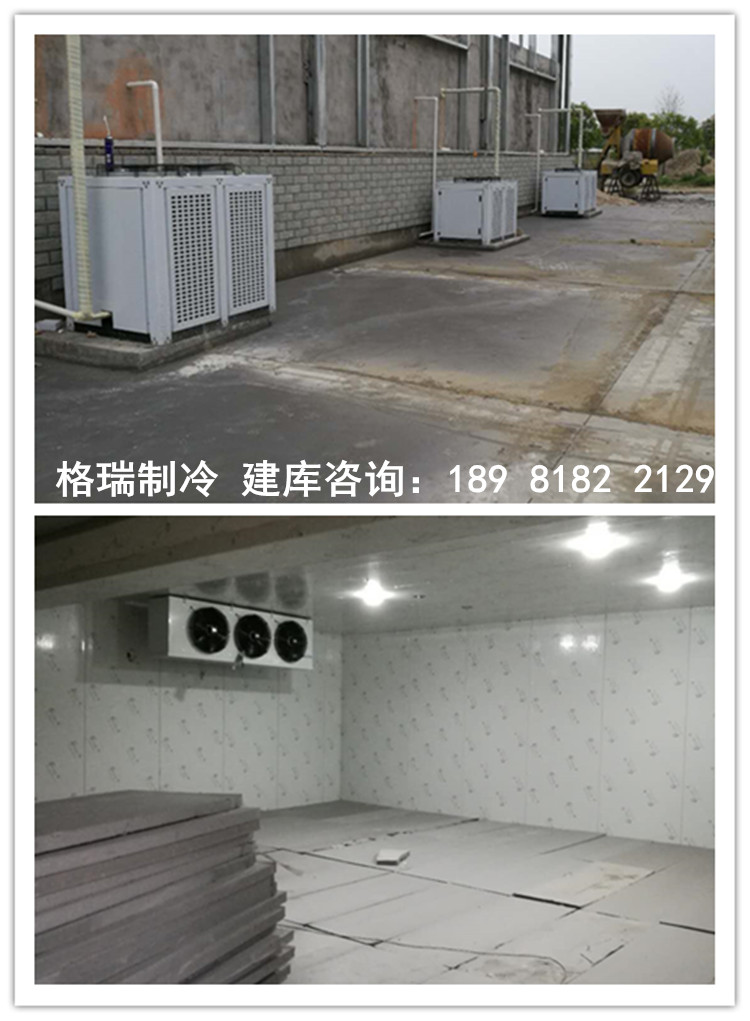 豬肉類冷凍庫定做廠家直銷專業(yè)安裝冷庫冷庫價格