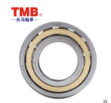 常州市廠家直銷TMB圓柱滾子軸承 天馬軸承價(jià)格 滾子軸承供應(yīng)商