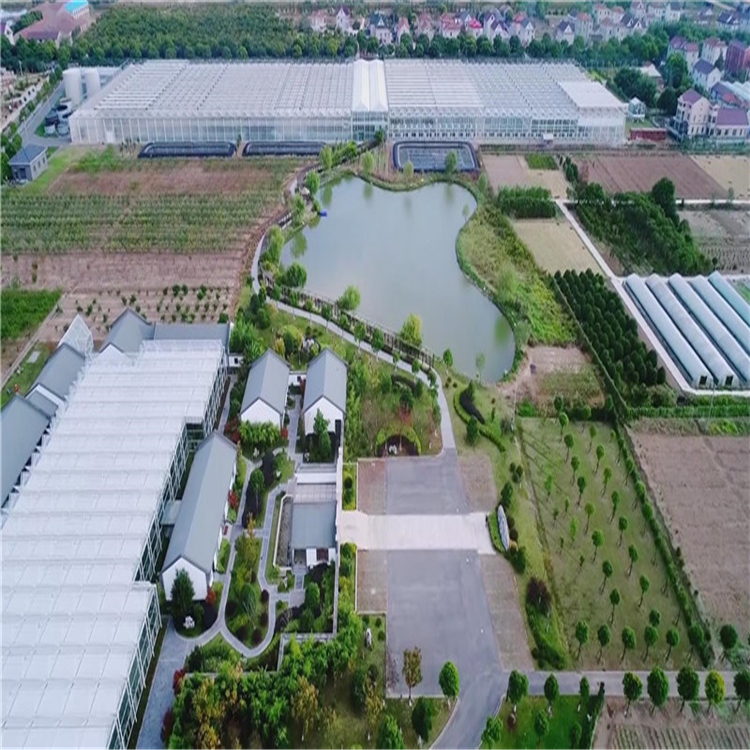 鋼結構玻璃大棚造價 溫室生態(tài)園