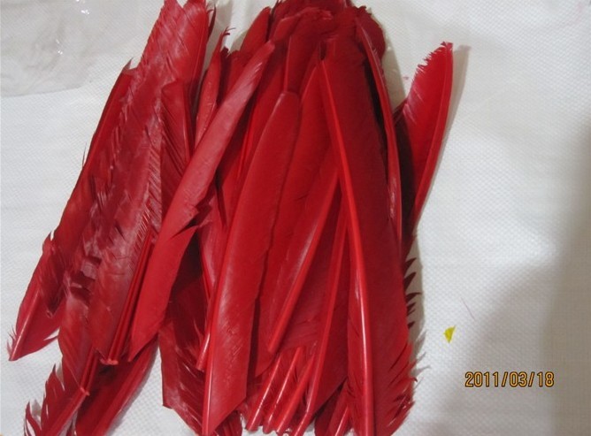 福建裝飾箭廠家大量供應(yīng) 蘋果綠刀翎
