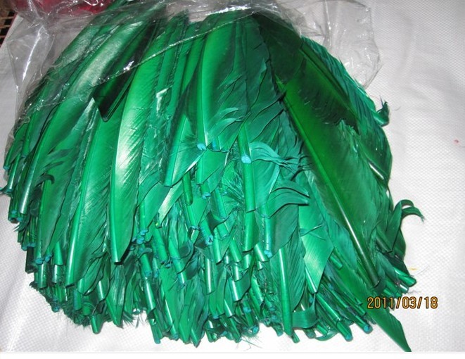 福建裝飾箭 價格保證  黃刀 翎