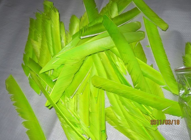 福建裝飾箭 價格保證  黃刀 翎